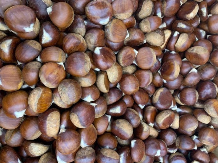 Hazelnuts are concentrated in vitamin E