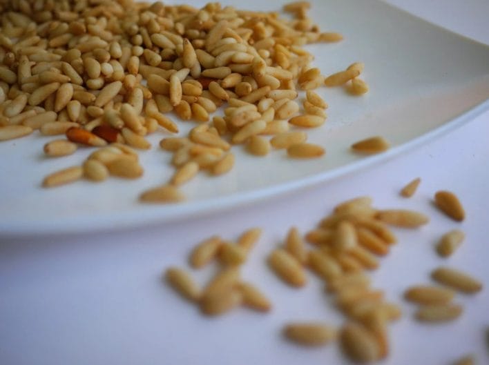 Pine nuts are very low in carbs